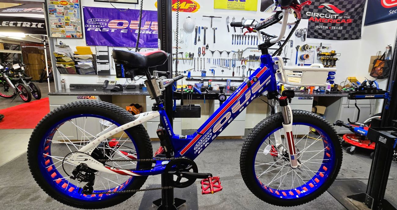 Soul Fast E-Bikes Soul Low PRO 24