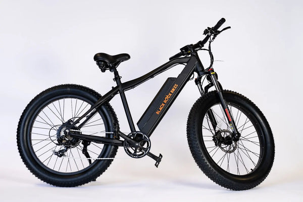 エディ1.1 DYNASTY EDDIE 1.1 RAINBOW BLACK Black Rock Island Warrior Mountain Cruiser Electric Bike