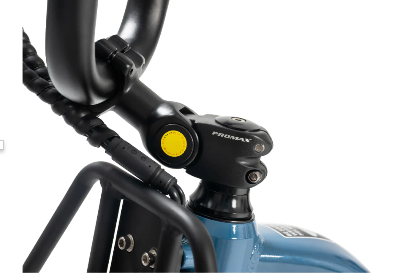 REVI Flux Fat Tire Cargo Electric Bike
