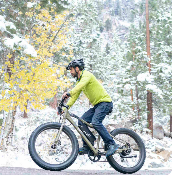 emojo wildcat fat tire electric bike