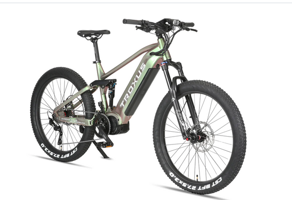 Conquer Trails with T-Rex E-Bike. 110mm Dual-Suspension, UL