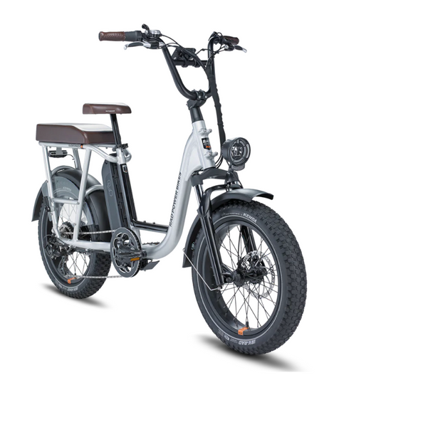 Rad Power Bikes RadRunner Plus Electric Fat Tire Bike Bikecraze