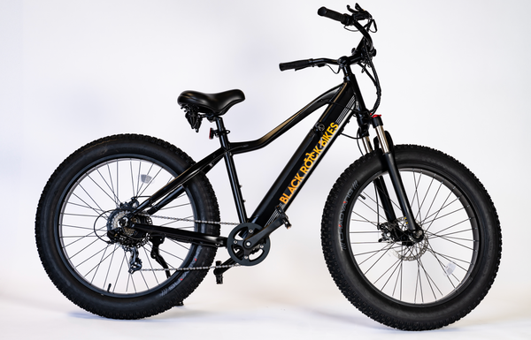エディ1.1 DYNASTY EDDIE 1.1 RAINBOW BLACK Dream8 – Day6 Bikes