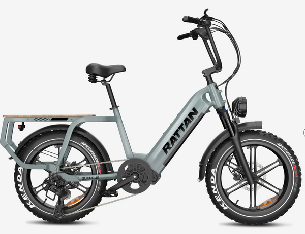 Rattan Quercus Step Thru Utility Electric Bike – Bikecraze | Bike Shop