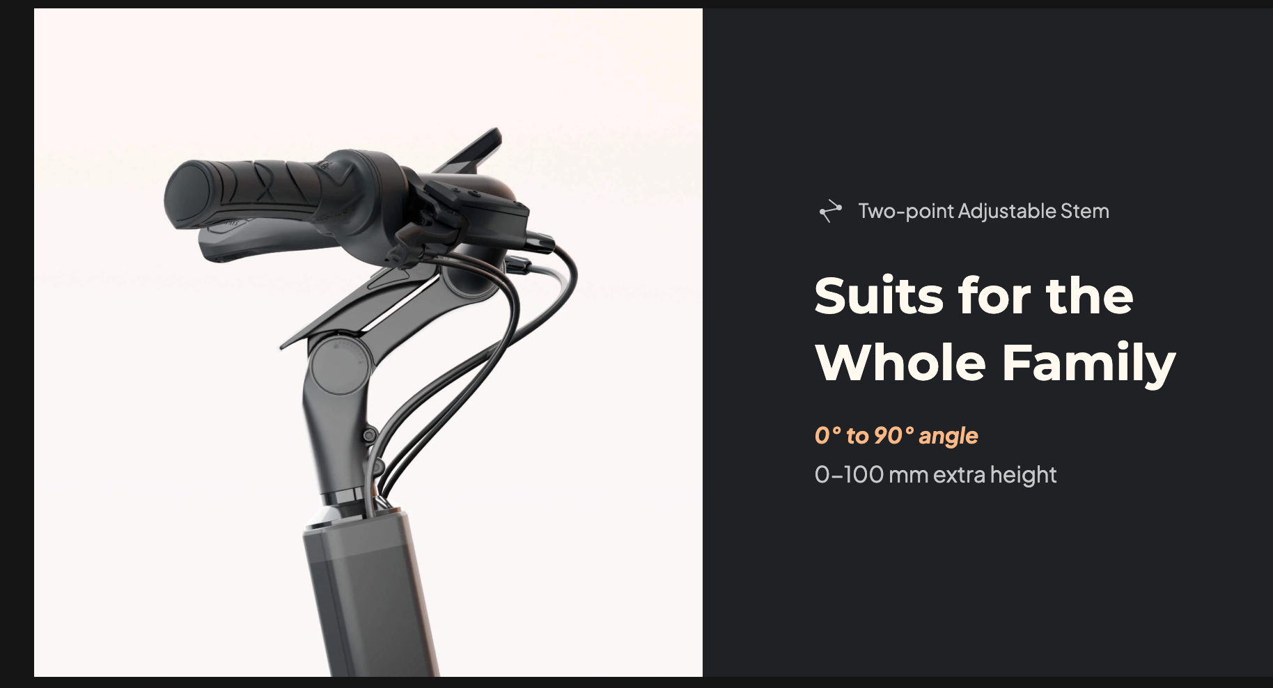 Tenways Cargo One Family Electric Bike