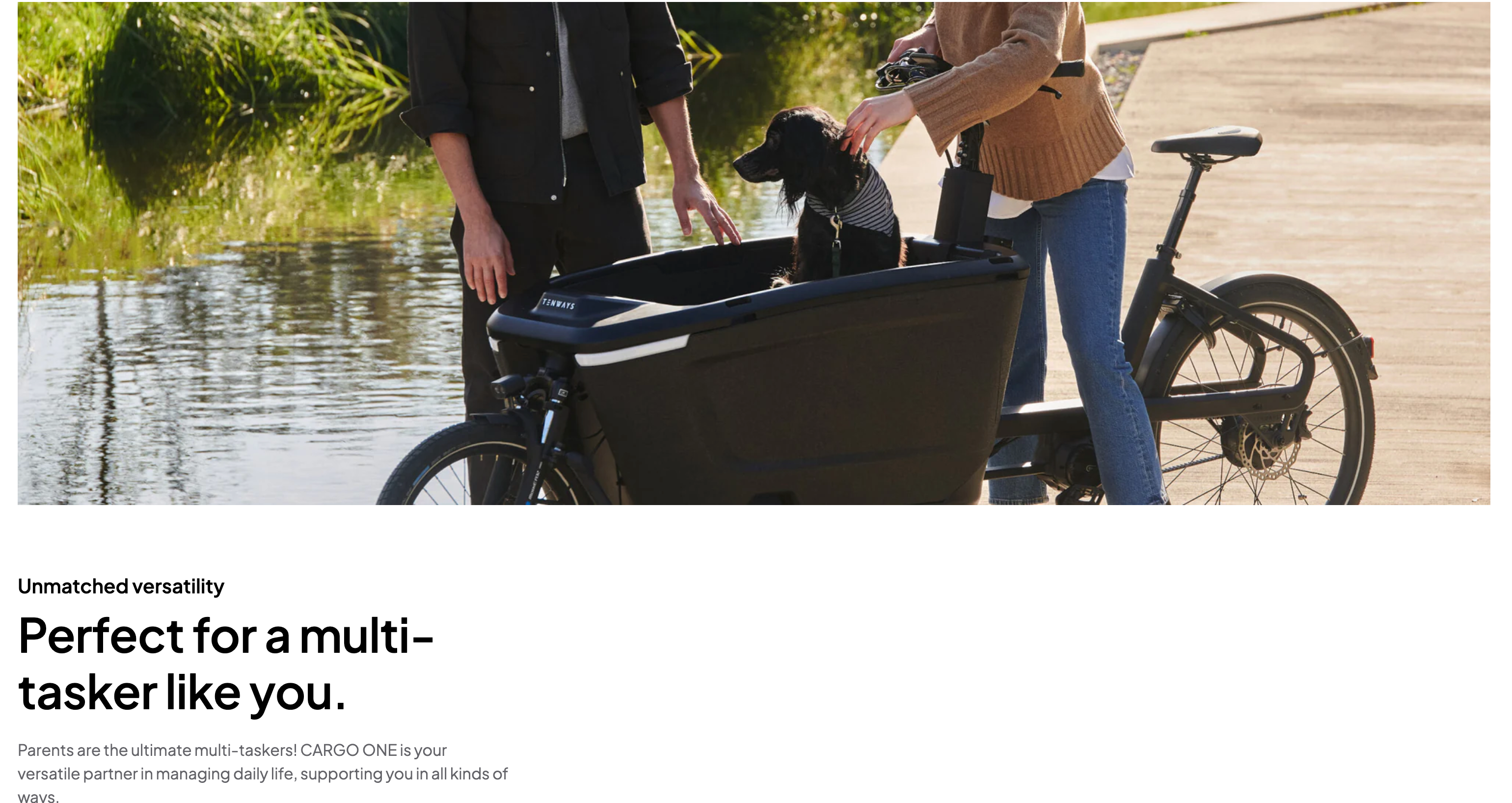 Tenways Cargo One Family Electric Bike