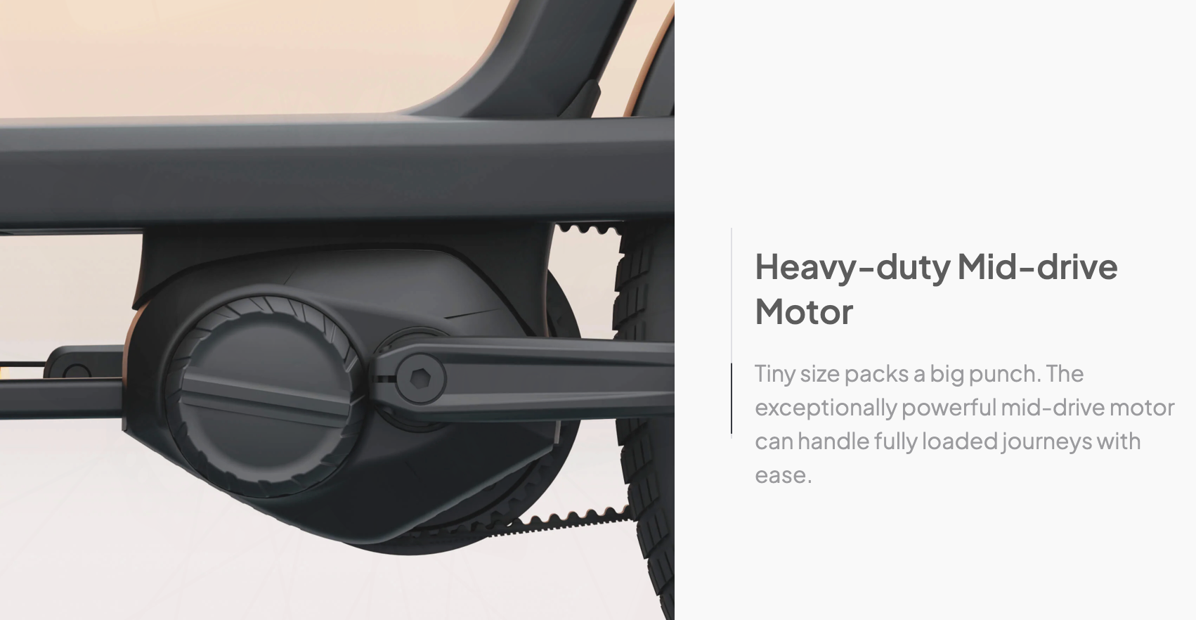 Tenways Cargo One Family Electric Bike