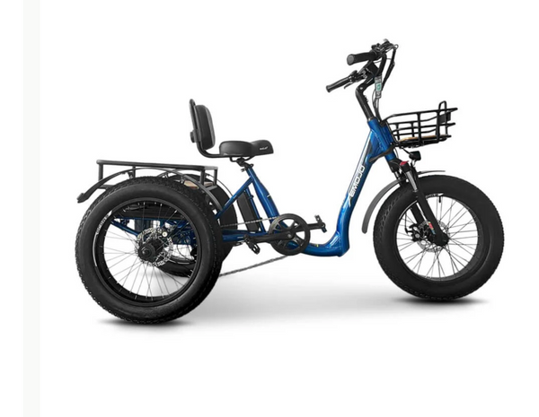 Emojo Bull Trail Electric Fat Tire Trike Bike – Bikecraze