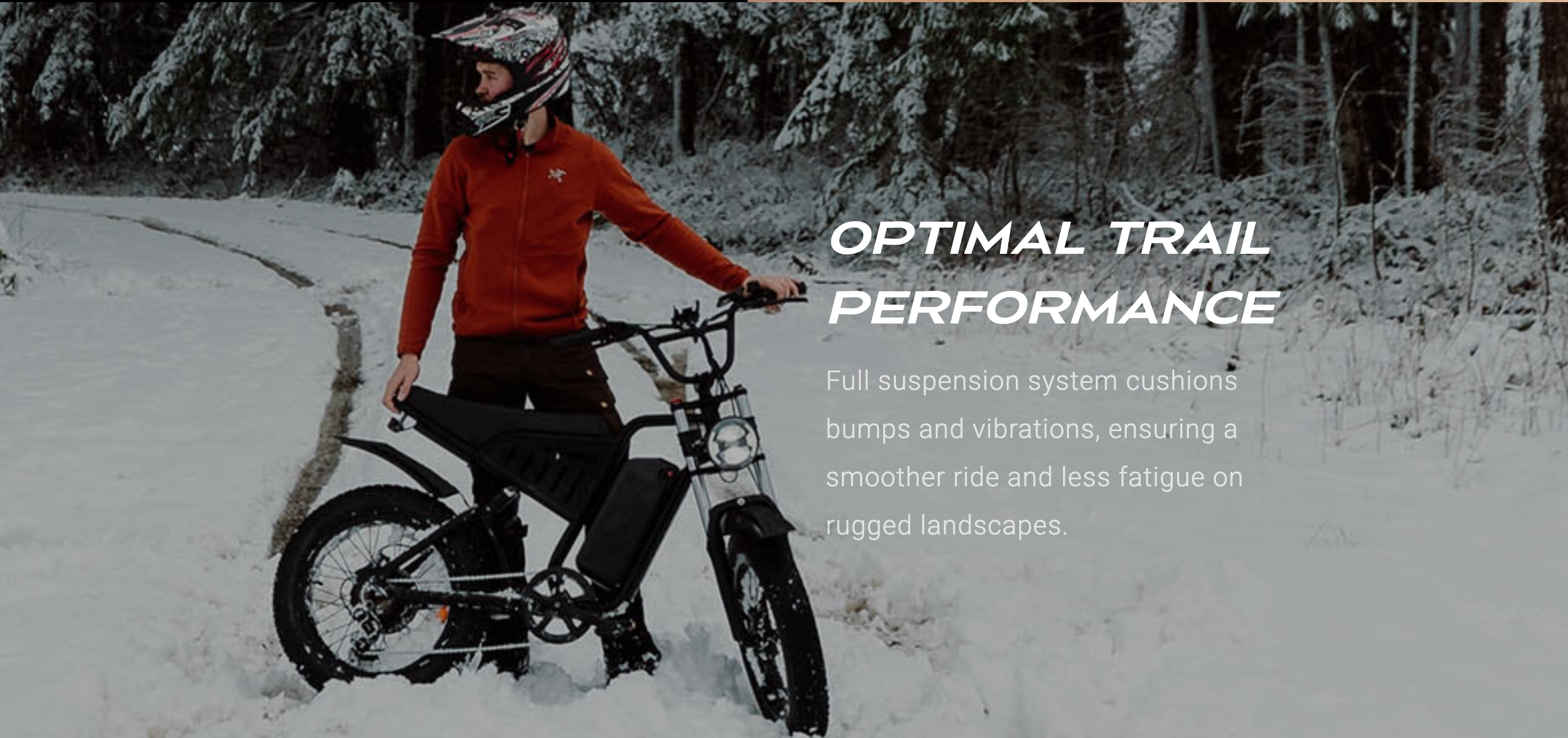 Freego  S1 Cafe Racer Fat Tire Electric Bike