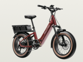 Passenger and Cargo Bikes - Family Bikes