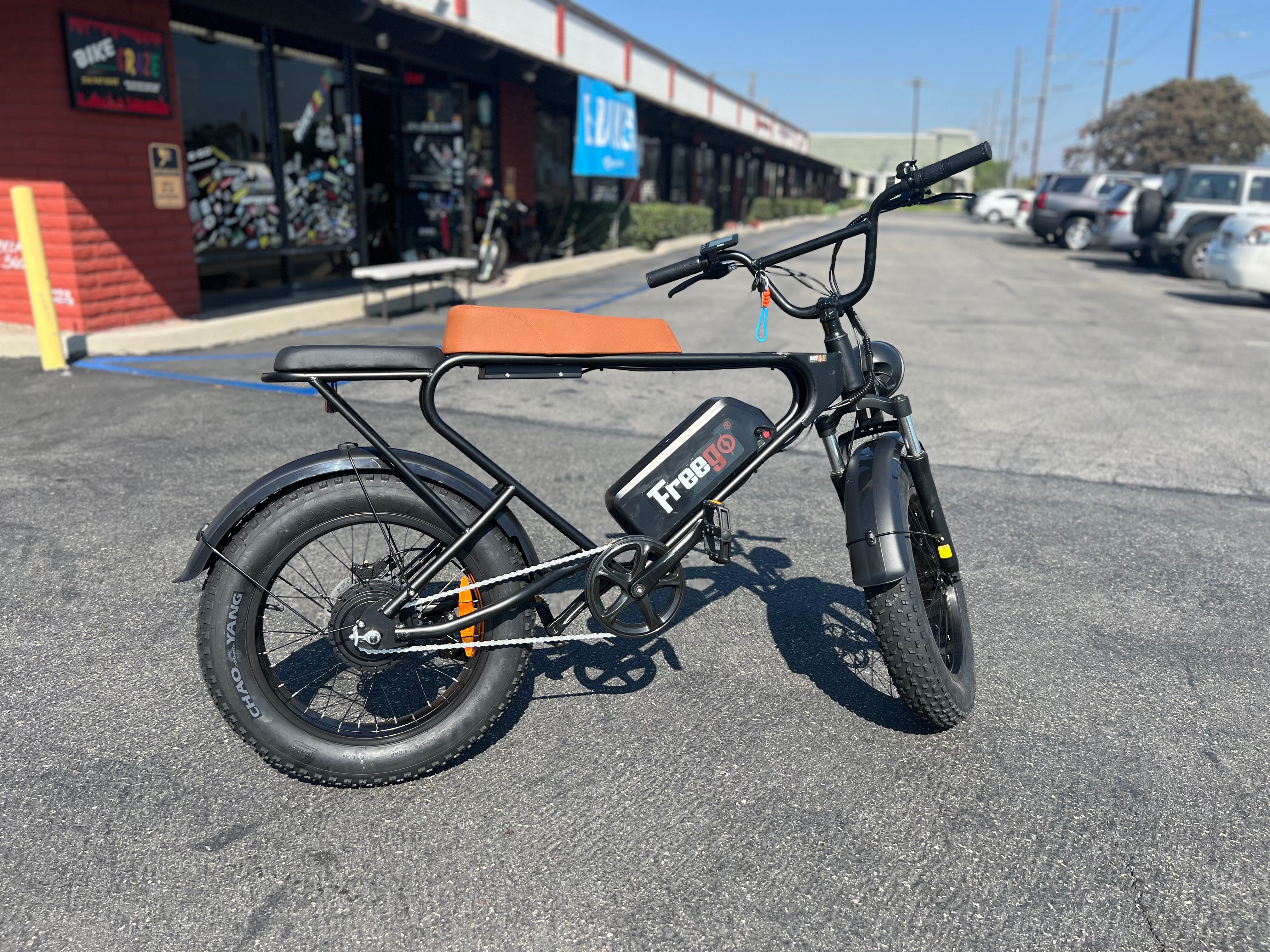 Freego DK 200 Pro Fat Tire Off Road  Electric Bike