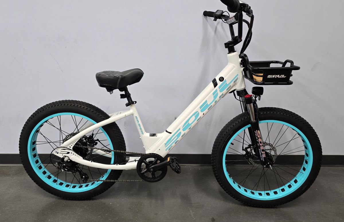 Soul Fast E-Bikes Soul Low 24