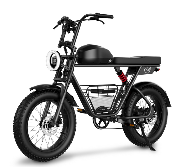 Bikecraze: WINDHORSE D5 1000W Electric Bike – Bikecraze | Bike Shop