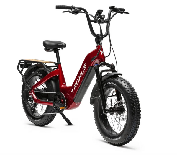 Troxus Lynx Plus Mini Cargo Step Thru Electric Bike – Bikecraze | Bike Shop