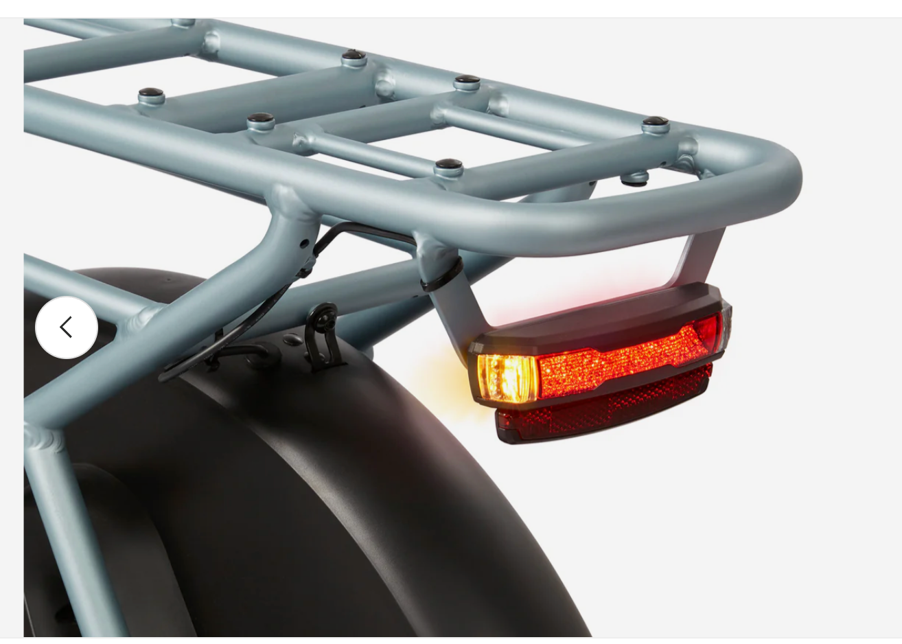 Flyer Via Pro Ultimate Family Cargo Step Thru Electric Bike – Bikecraze ...