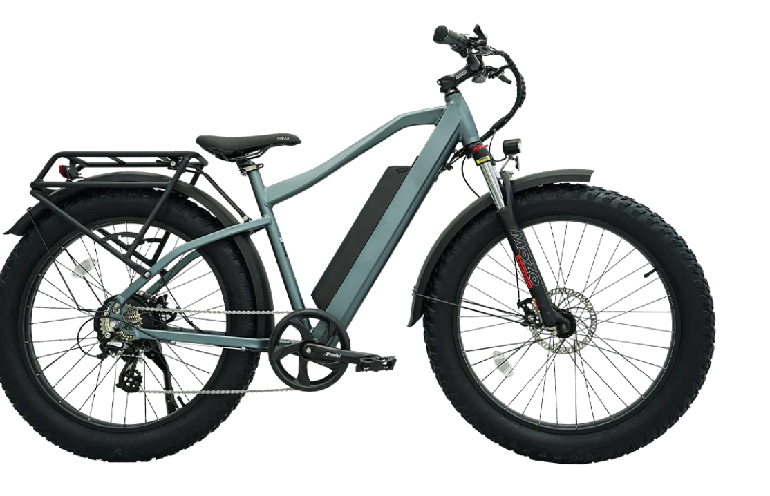 REVI Predator Fat Tire Electric Bike BONUS