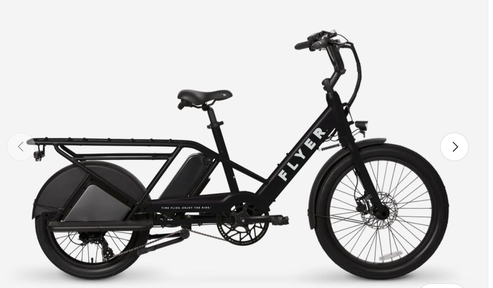 Flyer Via Family Cargo Step Thru Electric Bike BONUS