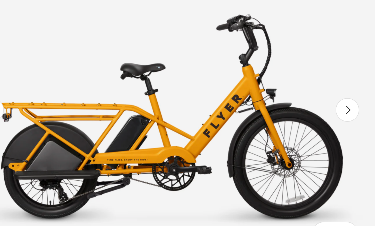 Flyer Via Family Cargo Step Thru Electric Bike