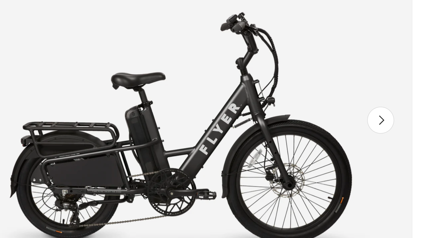 Flyer Flex Cargo Utility Step Thru Torque Electric Bike