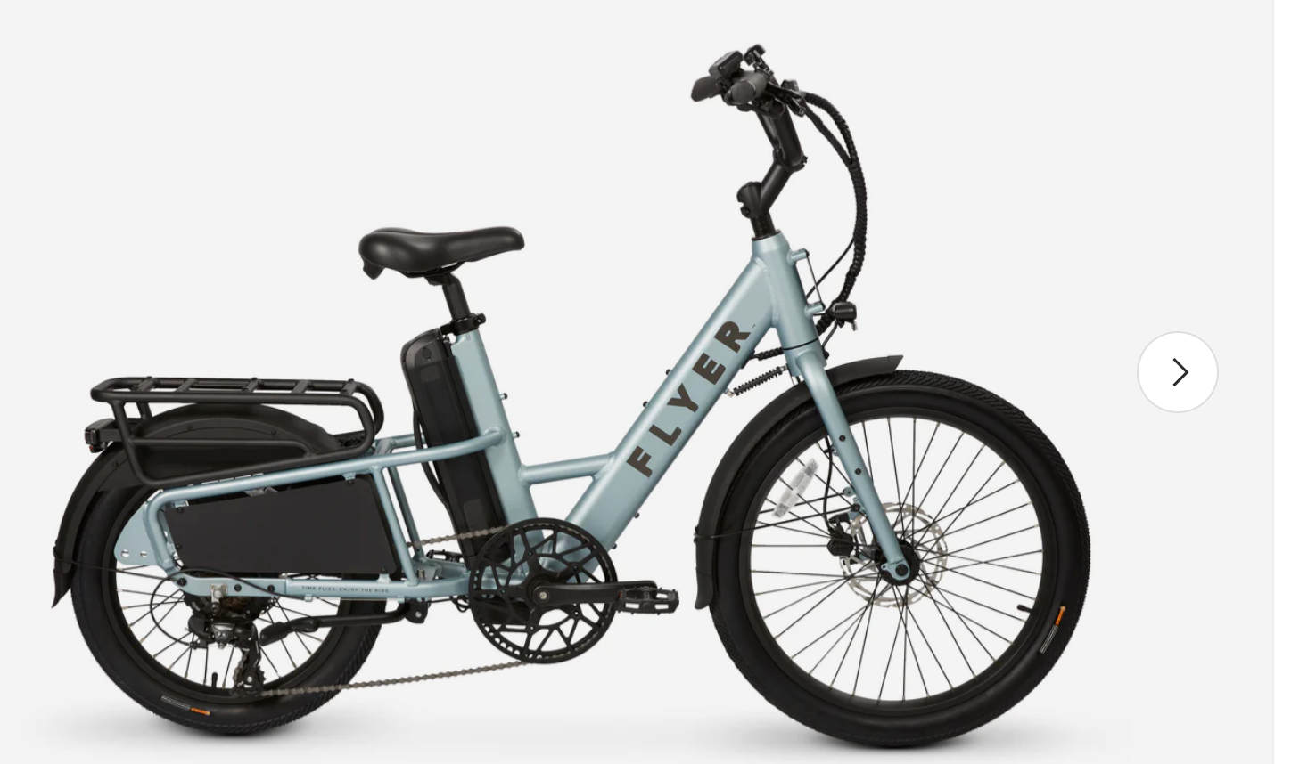 Flyer Flex Cargo Utility Step Thru Torque Electric Bike BONUS