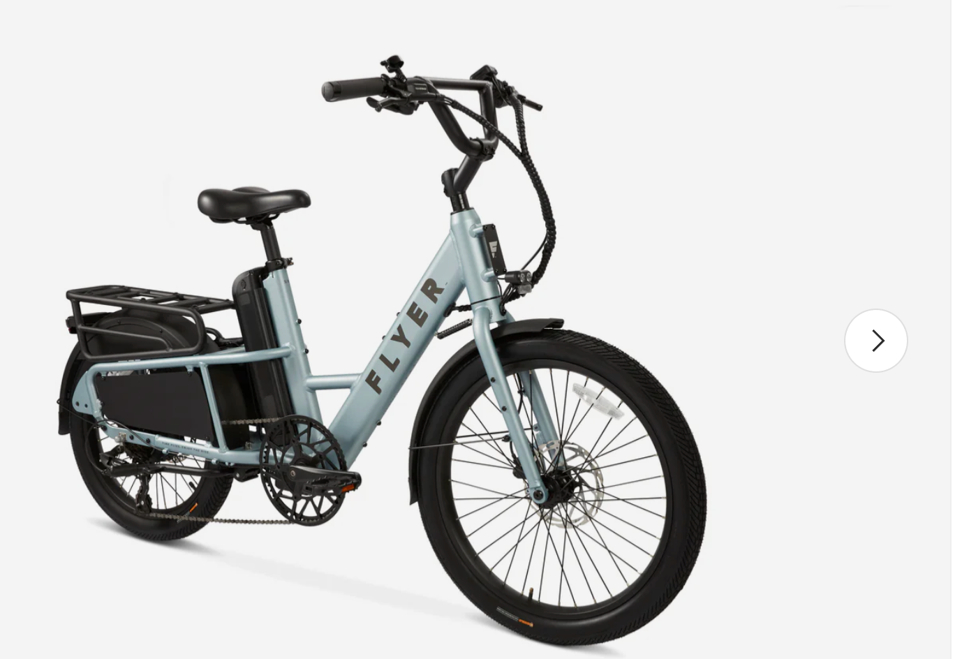 Flyer Flex Cargo Utility Step Thru Torque Electric Bike BONUS