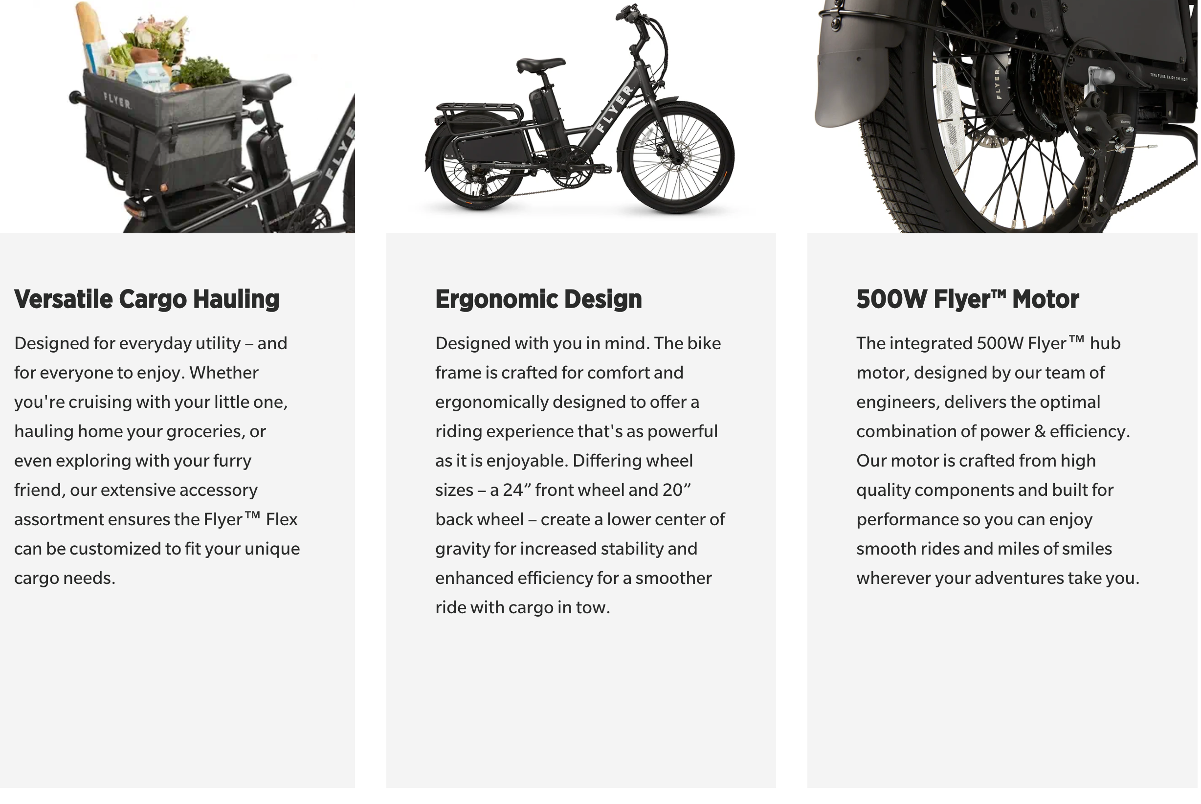 Flyer Flex Cargo Utility Step Thru Torque Electric Bike