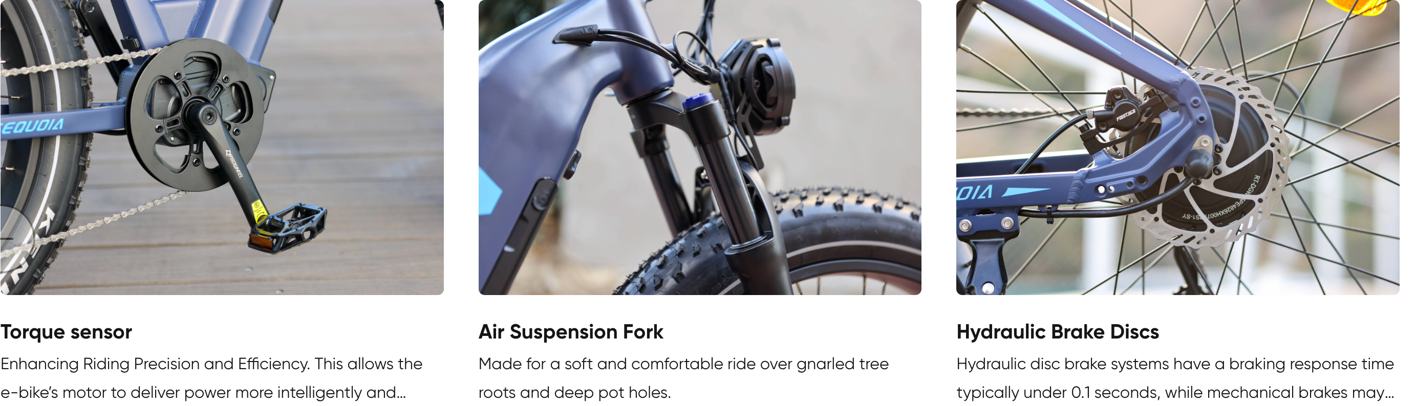 Rattan Sequoia Step Thru Dual Battery Fat Tire Mountain Electric Bike