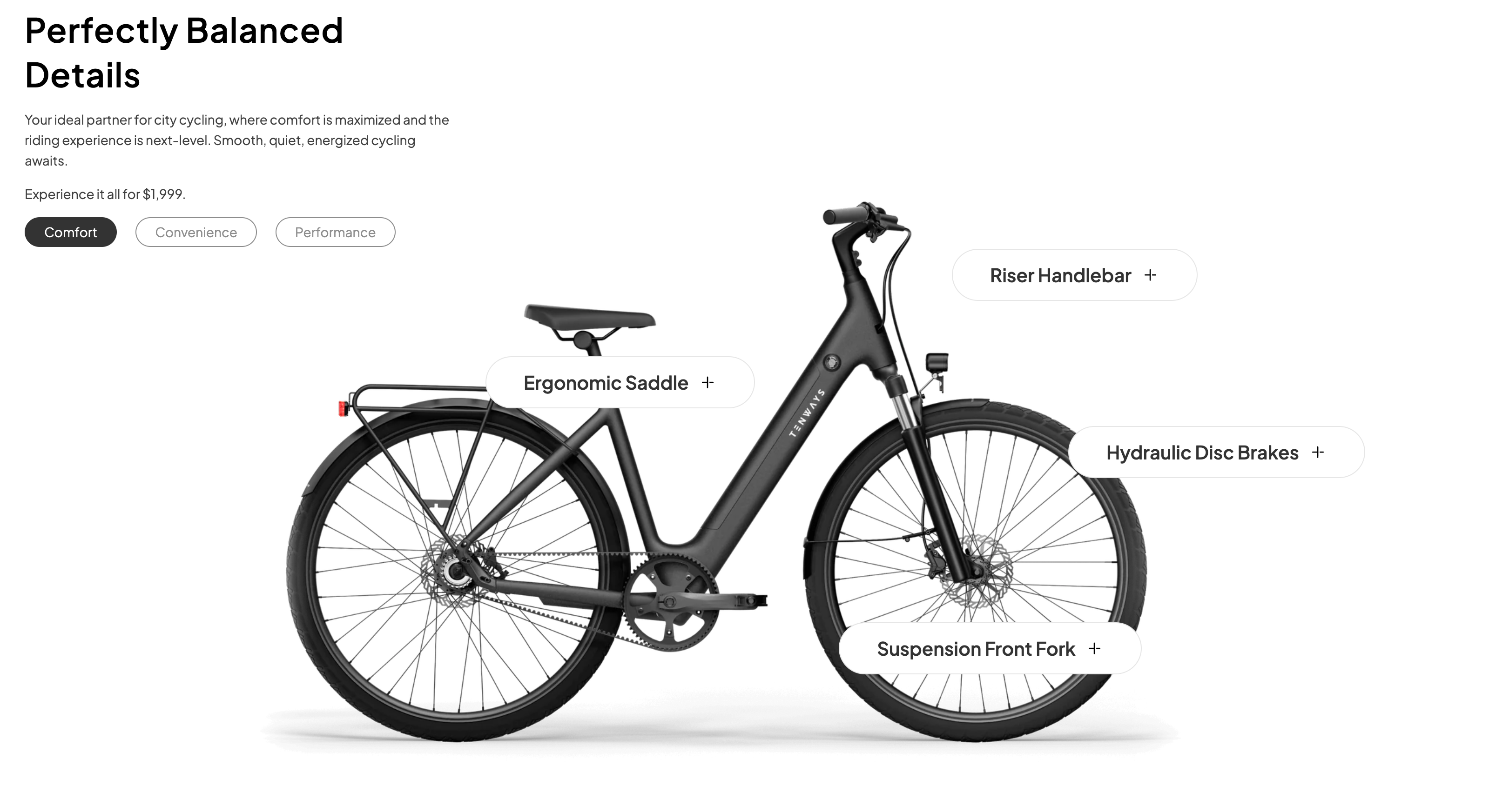 TENWAYS CGO800S Electric Bike