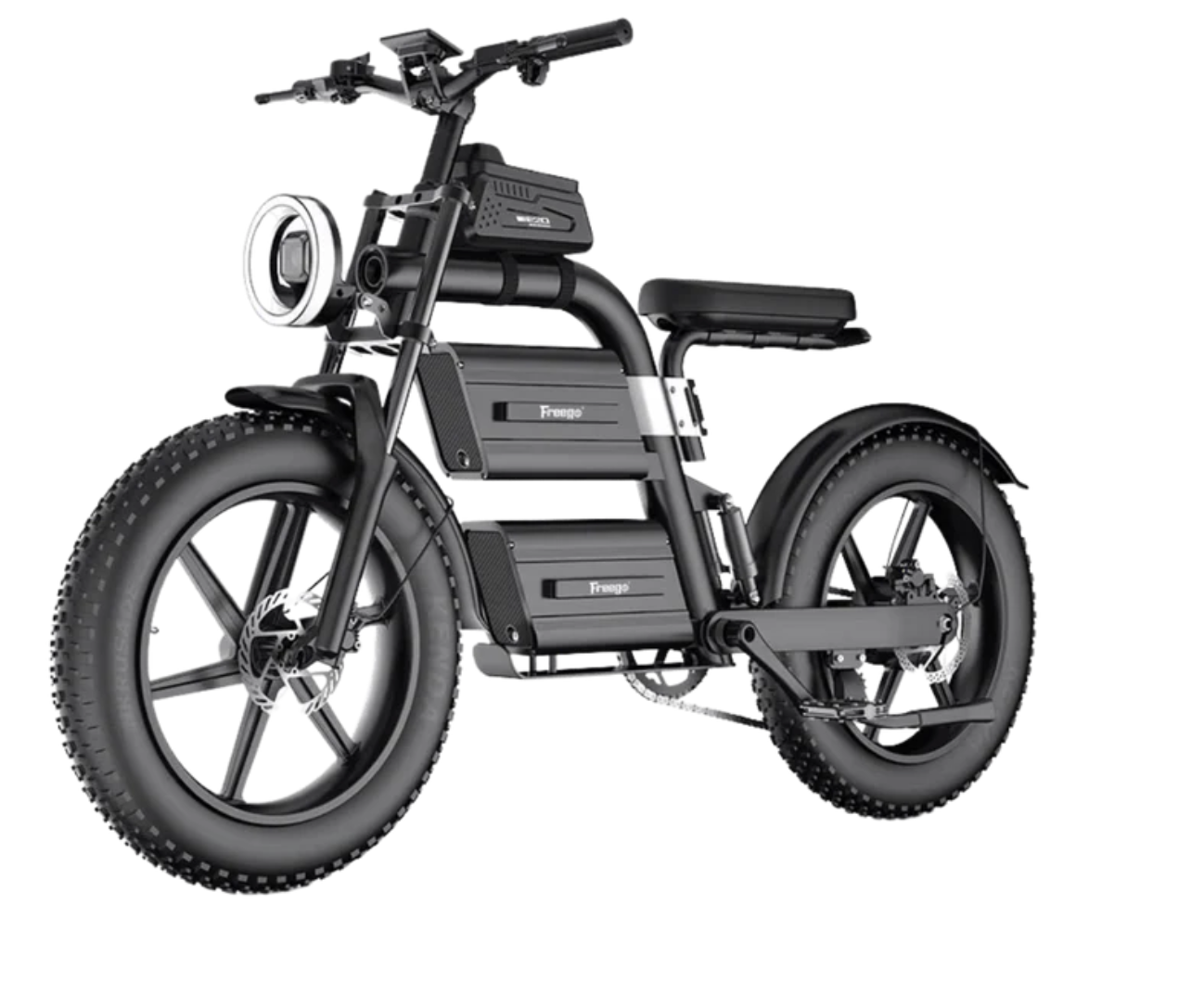Freego  E20 Plus Dual Battery Fat Tire Electric Dirt Bike