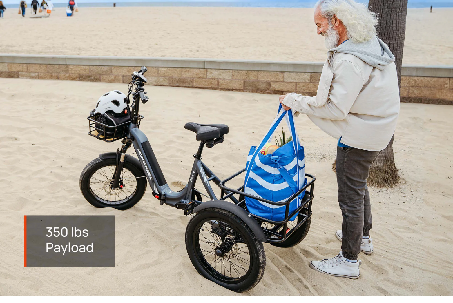 Mokwheel Scoria Step Thru Electric Fat Tire Bike