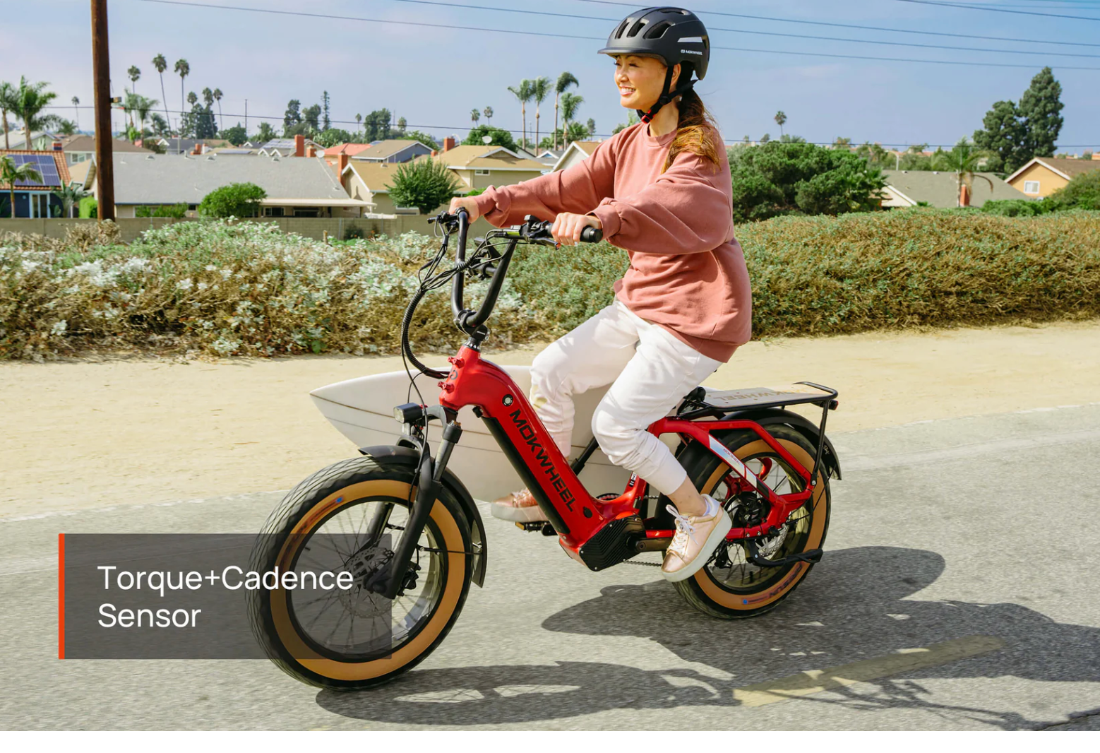 Mokwheel Scoria Step Thru Electric Fat Tire Bike