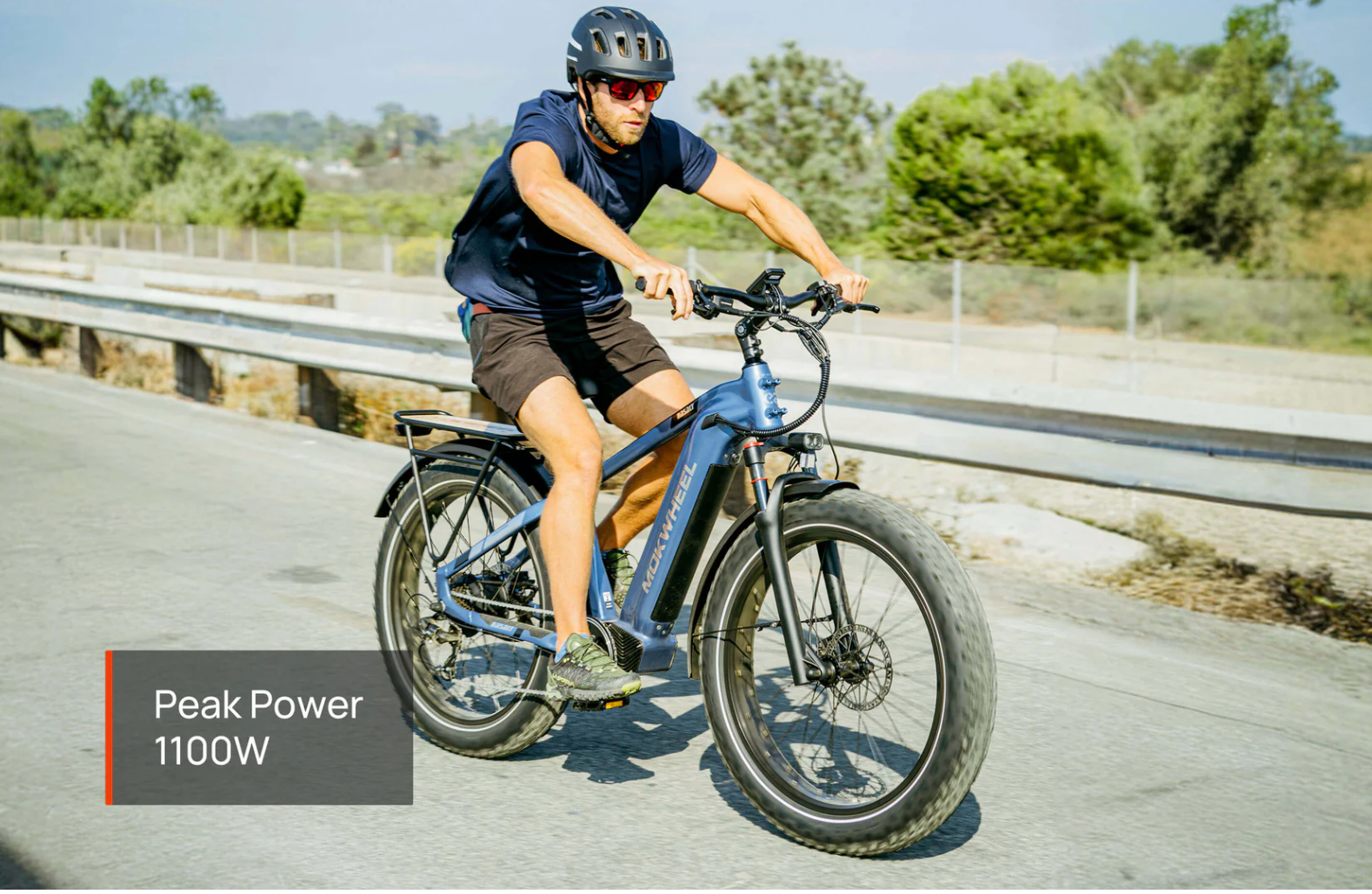 Mokwheel Basalt Electric Fat Tire Bike