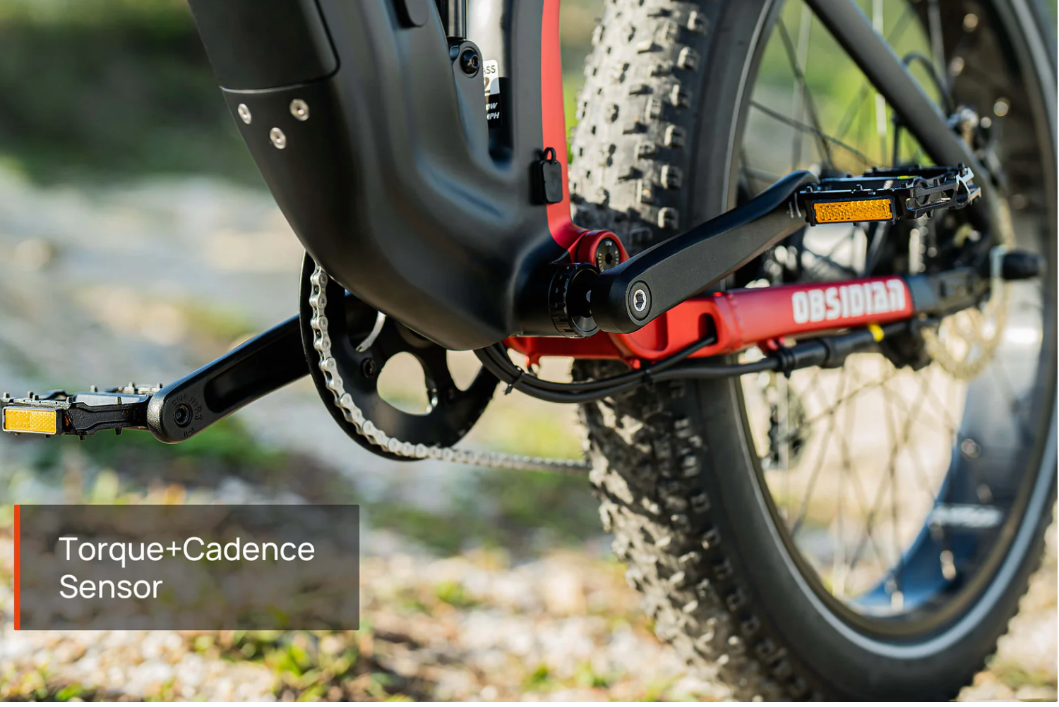 Mokwheel Obsidian Full Suspension Fat Tire Electric Bike