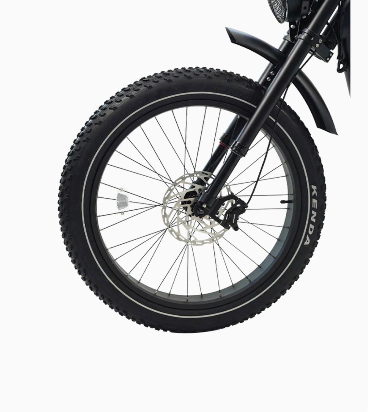 REVI Cheetah Pro Fat Tire Electric Bike BONUS