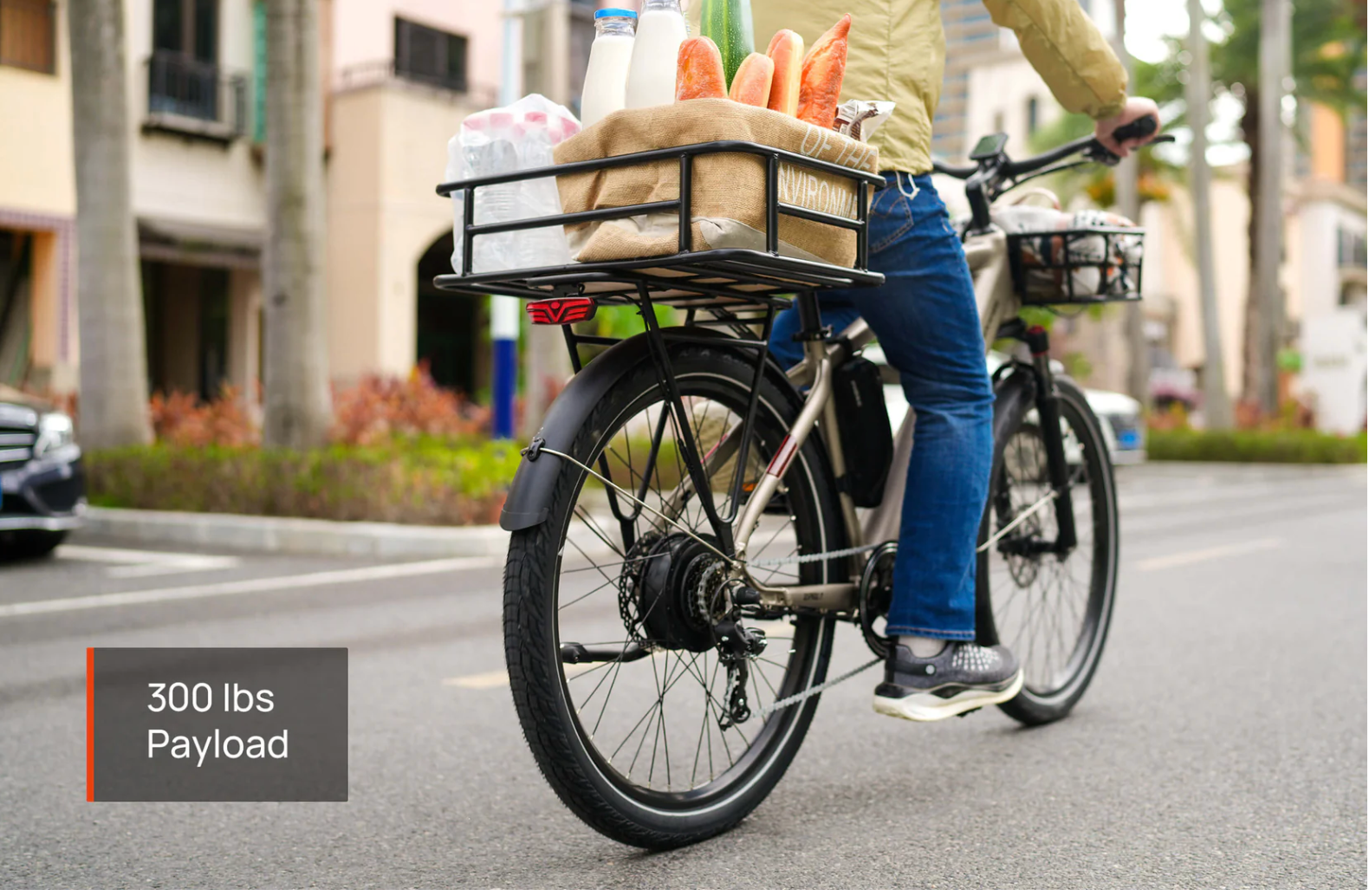 Mokwheel Asphalt ST 2.0 Step Thru Electric Bike