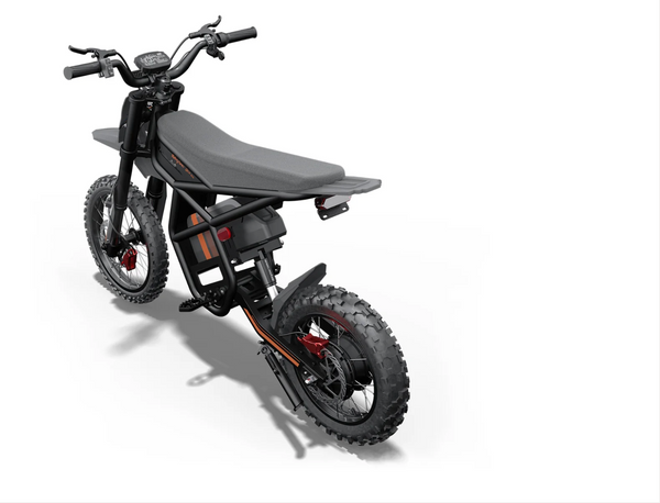 Riding Times GT54 Pro Teenager Adult Electric Motorcycle Bike ...
