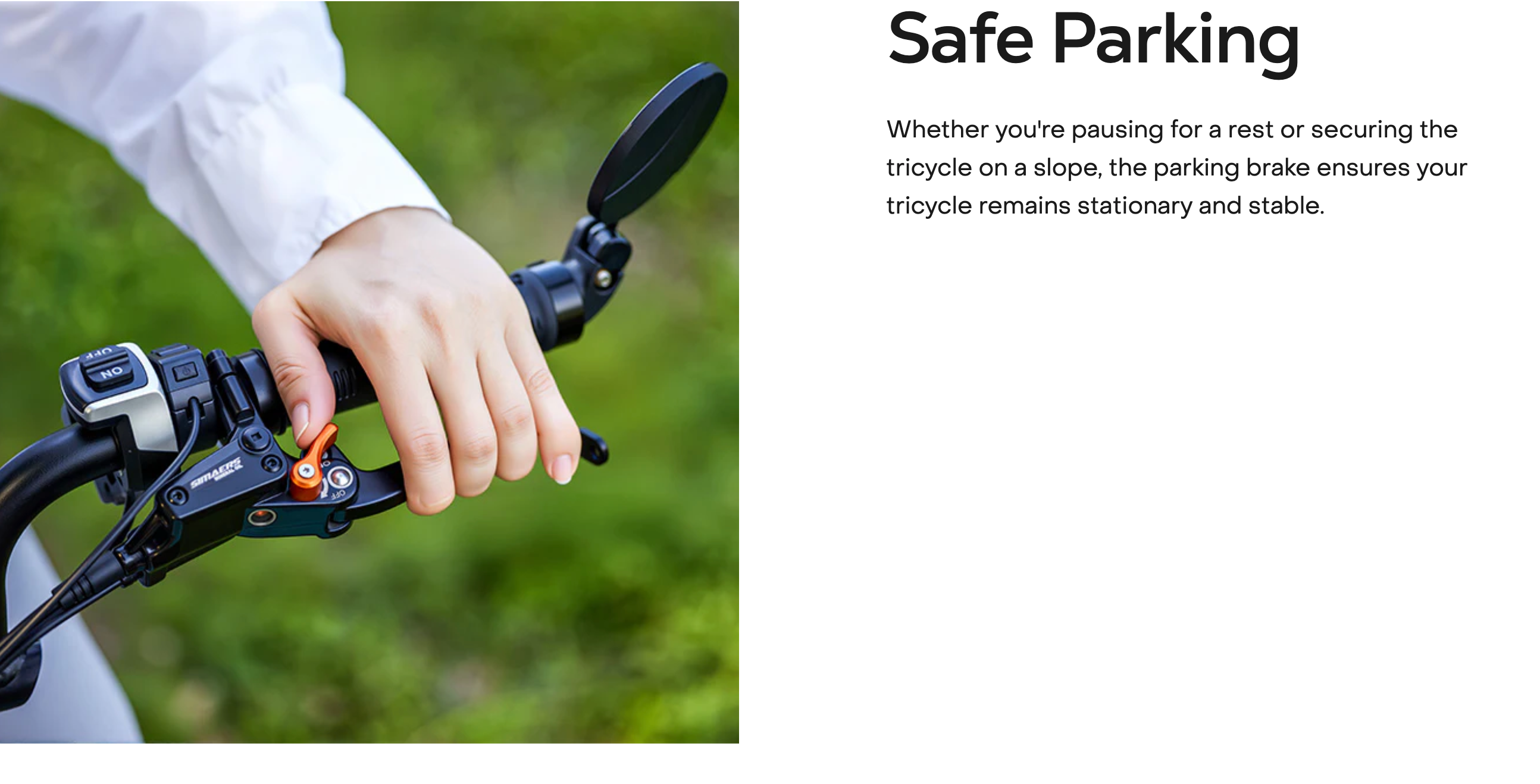 Viribus FC2 Folding Electric Trike Bike