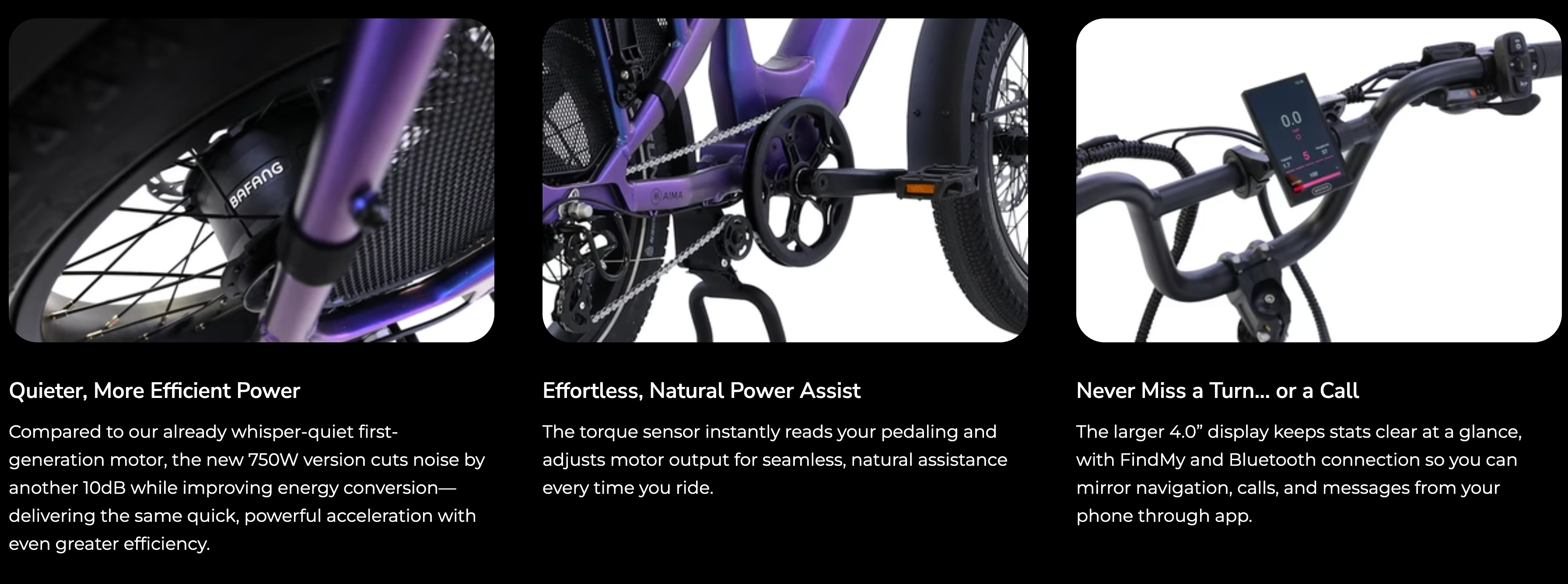 Aima Big Sur Utility Cargo Electric Fat Tire Bike