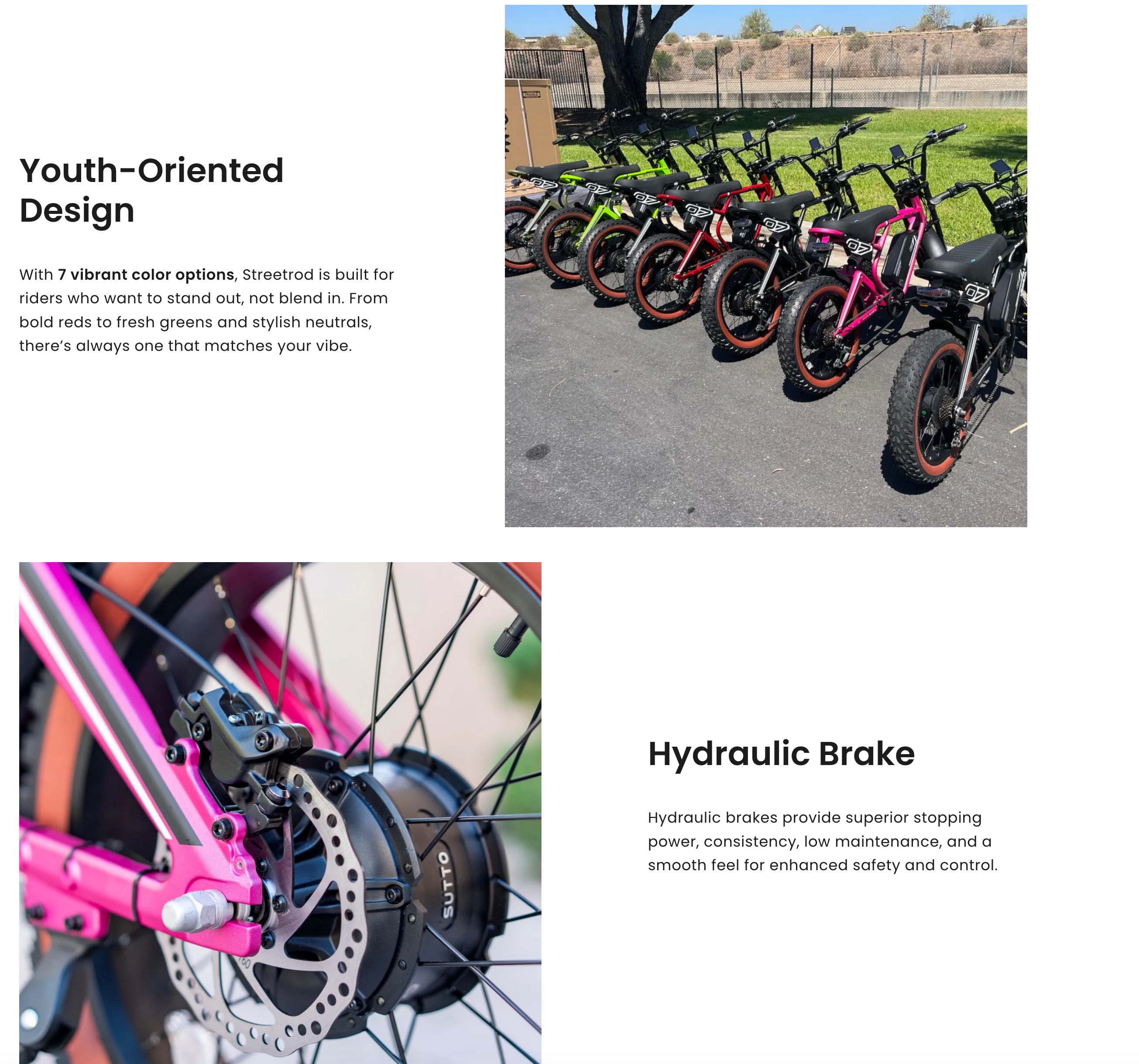 Emojo StreetRod Full Suspension 750W Electric Bike