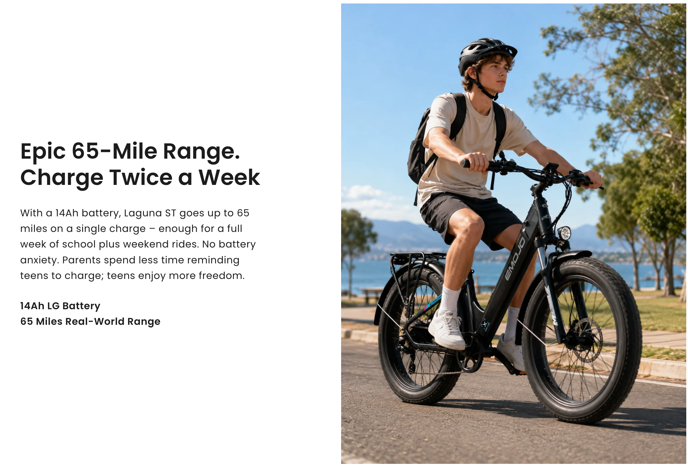 Emojo Laguna 750W Fat Tire Electric Bike