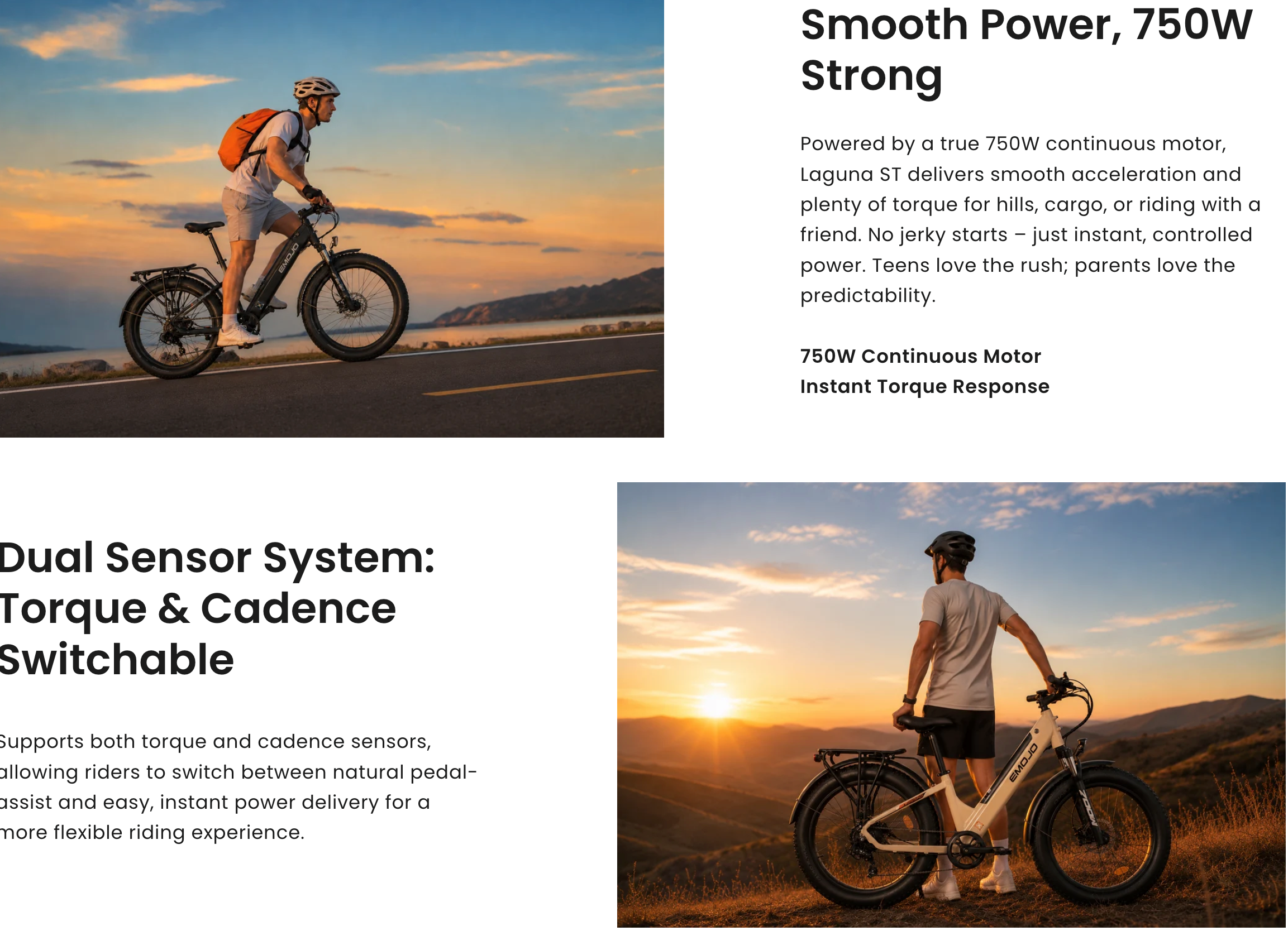 Emojo Laguna 750W Fat Tire Electric Bike