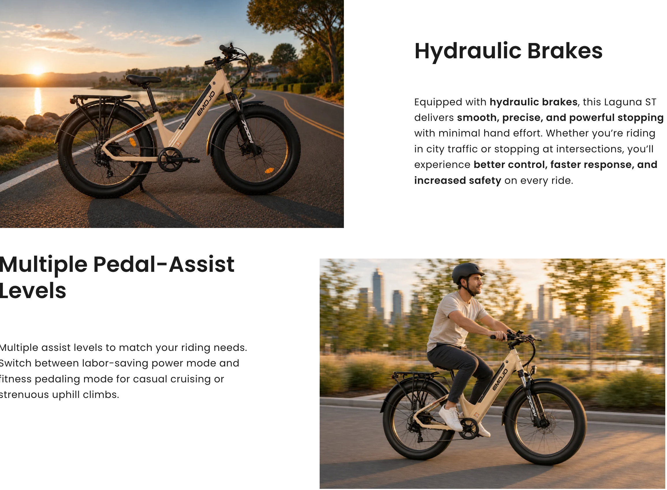 Emojo Laguna 750W Fat Tire Electric Bike