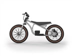 XERO2 FLEA - Motorized Balance Bike for Youth Riders